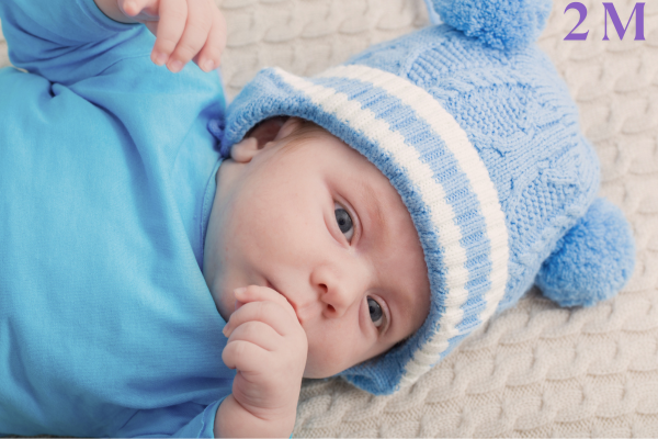 premature baby milestones chart