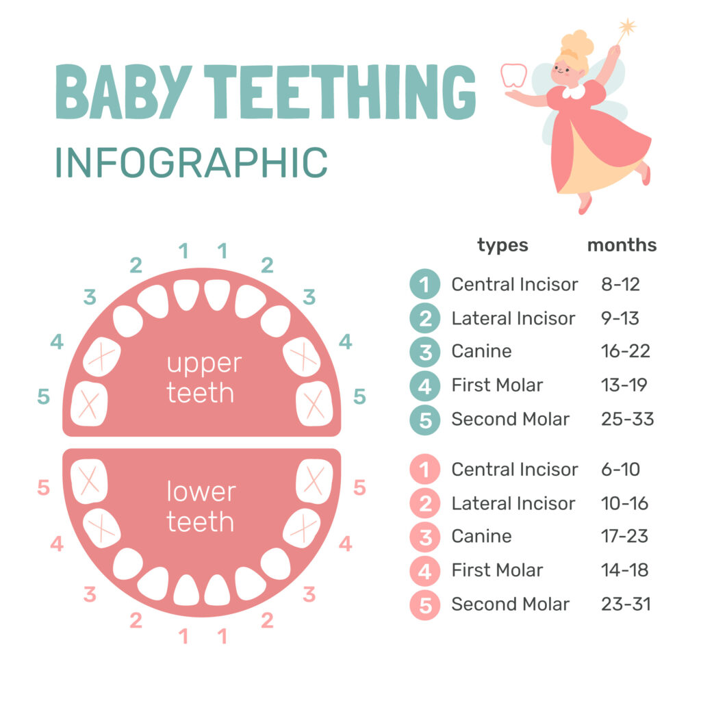 Infant Teething